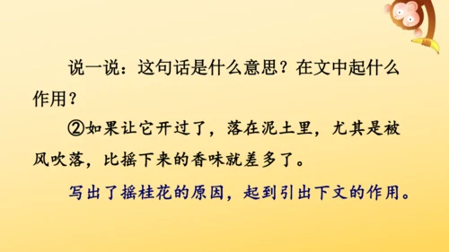 3 桂花雨   课件