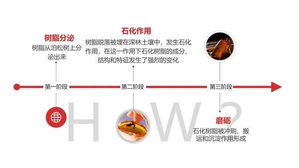 典雅轻奢琥珀藏品专业知识讲座PPT模板