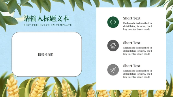 蓝色清新中国传统芒种节气PPT模板