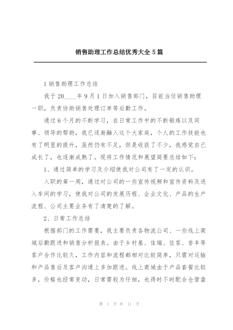 销售助理工作总结优秀大全5篇.docx