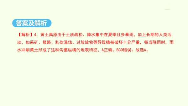 6.3 世界最大的黄土堆积区——黄土高原 第1课时 文明的摇篮 风吹来的黄土（课件31张）- 人教版