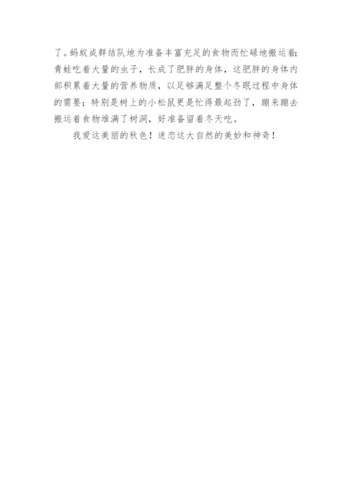 美丽秋色作文.docx