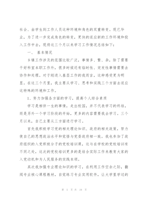 政府实习总结范文5篇.docx