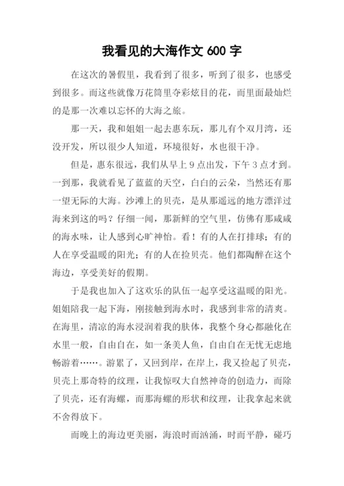 我看见的大海作文600字.docx