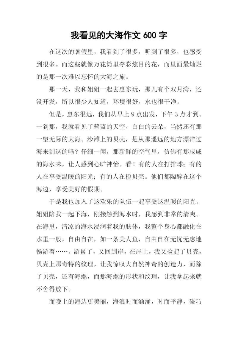 我看见的大海作文600字.docx