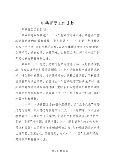 年共青团工作计划_1.docx