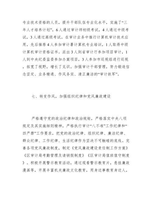 审计委员会办公室上半年工作总结.docx