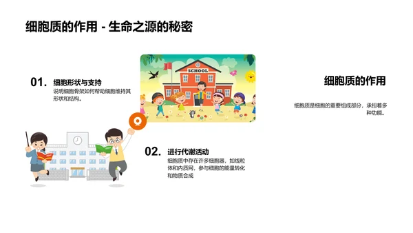 细胞结构与功能PPT模板