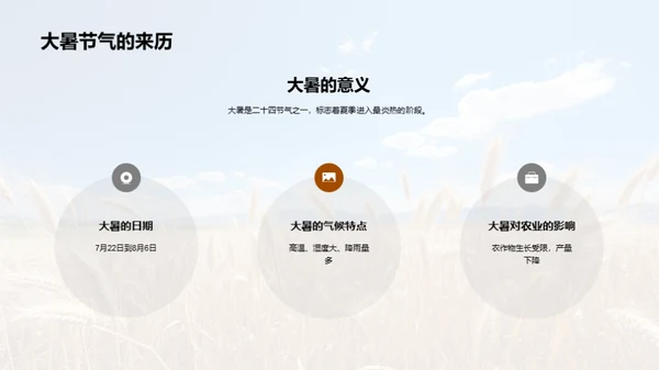 大暑农业应对策略