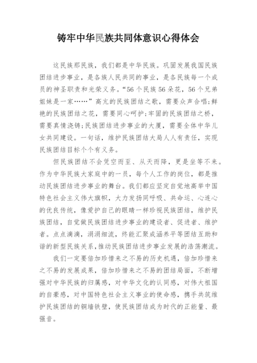 铸牢中华民族共同体意识心得体会.docx