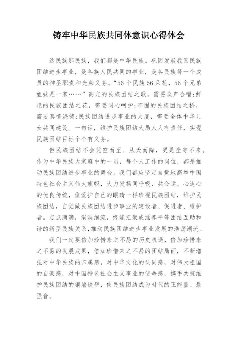 铸牢中华民族共同体意识心得体会.docx