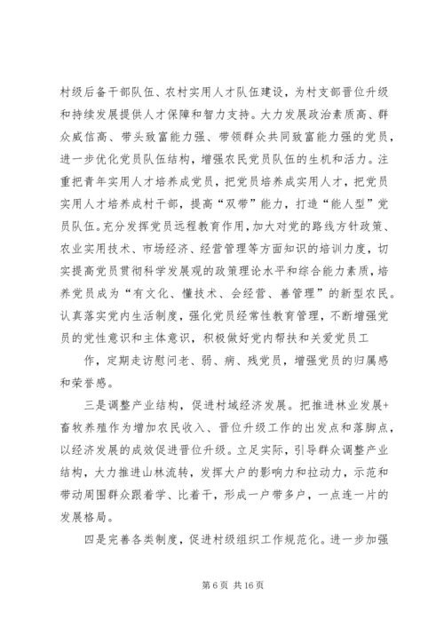 达权店镇十二河村党支部晋位升级方案.docx