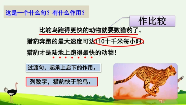 7 什么比猎豹的速度更快 第二课时 课件