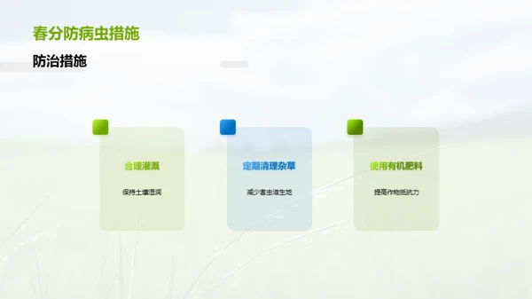 春分知识与农业实践