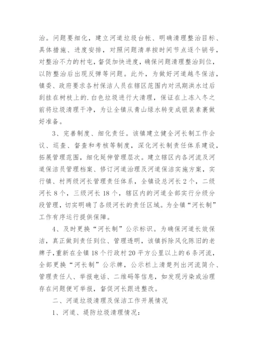 河长制工作述职报告_2.docx