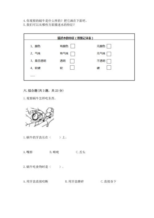 教科版一年级下册科学期末测试卷附答案【满分必刷】.docx