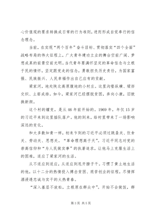 学习梁家河精神心得体会 (2).docx