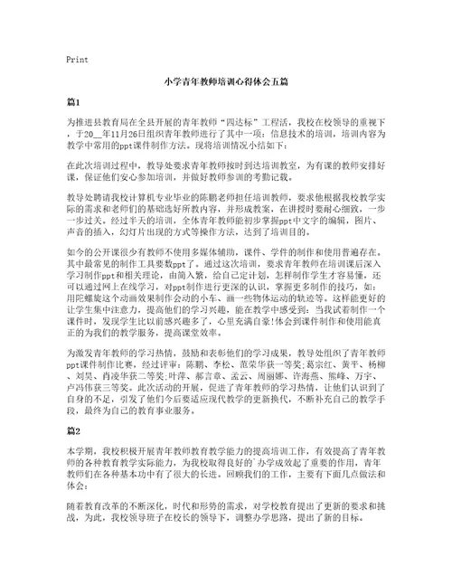 小学青年教师培训心得体会五篇