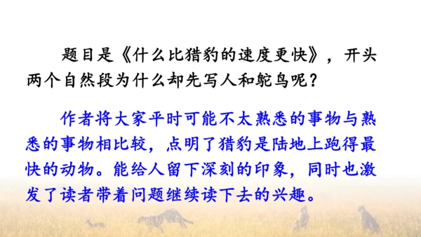 7 什么比猎豹的速度更快 第一课时 课件