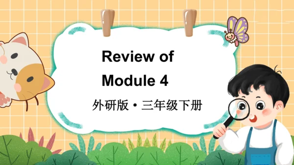 外研版三起三年级下册Review of Module 4课件（31张PPT)