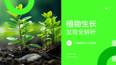 植物生长发育全解析