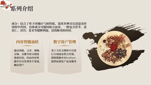 棕色中医药产品介绍PPT模板