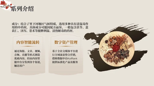 棕色中医药产品介绍PPT模板