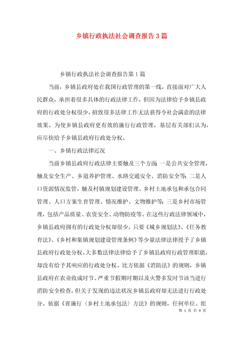 乡镇行政执法社会调查报告3篇.docx