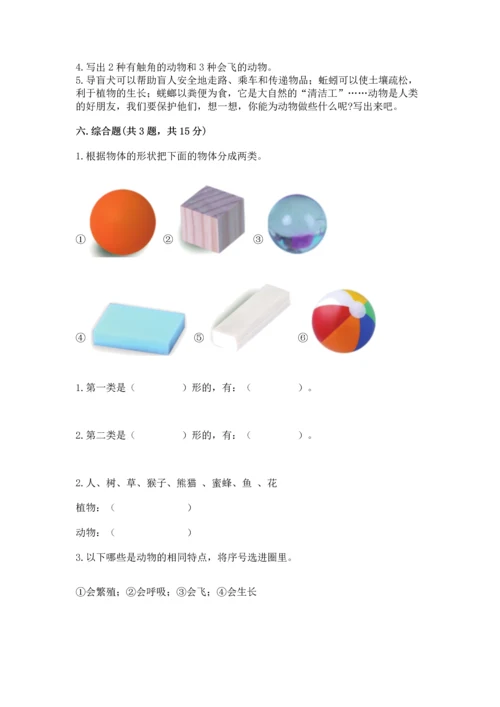 教科版一年级下册科学期末测试卷及完整答案【夺冠系列】.docx