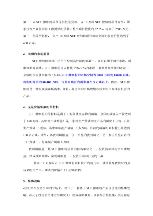 微细粉专项项目商业综合计划书模板.docx