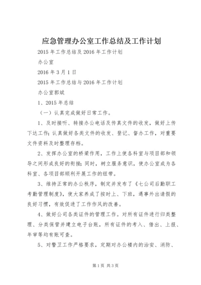 应急管理办公室工作总结及工作计划 (2).docx