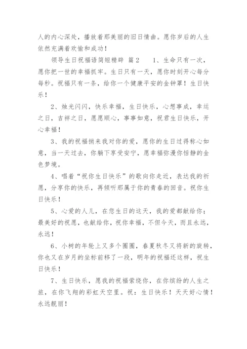 领导生日祝福语简短精辟.docx