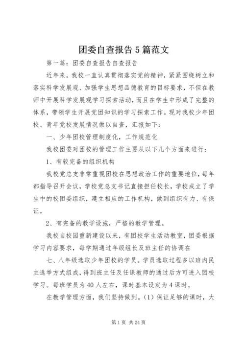 团委自查报告5篇范文.docx