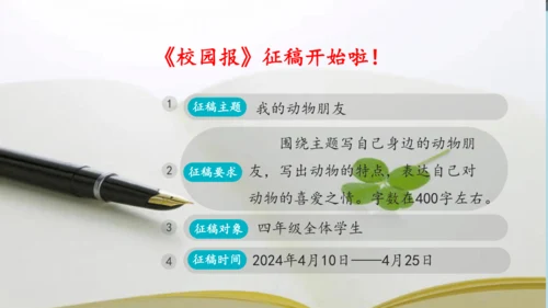 《13.猫》课件
