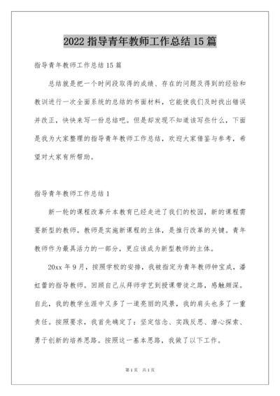 2022指导青年教师工作总结15篇.docx