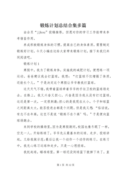 锻炼计划总结合集多篇.docx