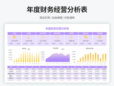 年度财务经营数据分析表