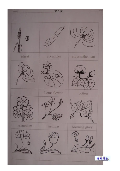 小学英语课堂教学简笔画集锦