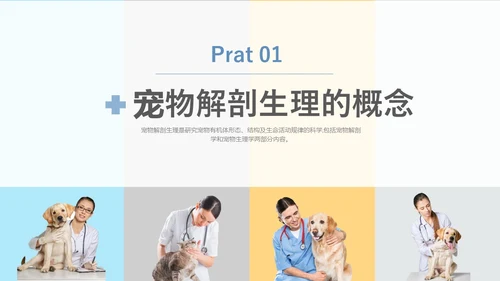 实拍风宠物解剖生理宠物解剖生理讲座PPT
