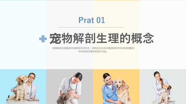 实拍风宠物解剖生理宠物解剖生理讲座PPT