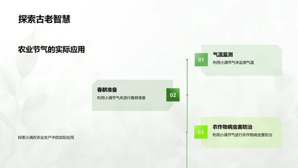 小满节气解析PPT模板