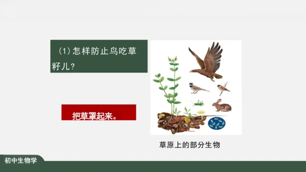 1.2.2 生物与环境组成生态系统 课件（共30张PPT）