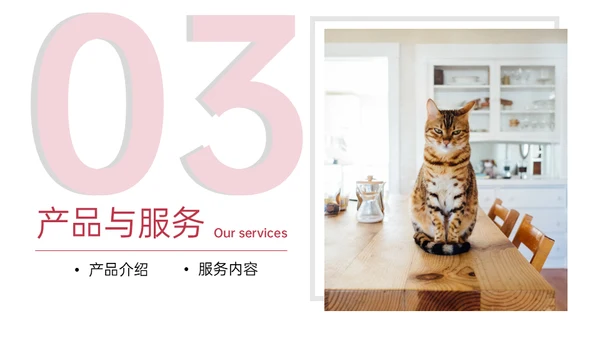 猫舍咖啡馆创业融资商业计划书通用PPT模板