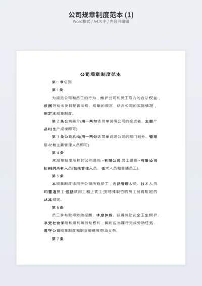 公司规章制度范本 (1)