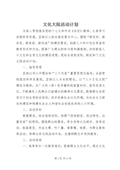 文化大院活动计划.docx