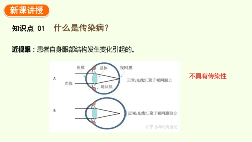 8.1.1传染病及其预防-八年级生物人教版下学期同步精品课件(共39张PPT)