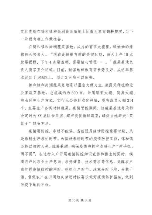 疫情防控乡镇党员干部事迹宣传材料10篇.docx