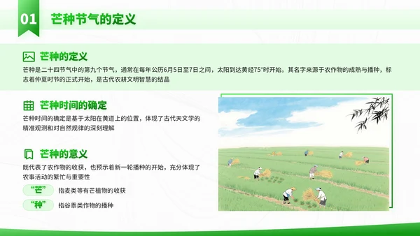 绿色插画风走进芒种节气知识与教学应用PPT模板