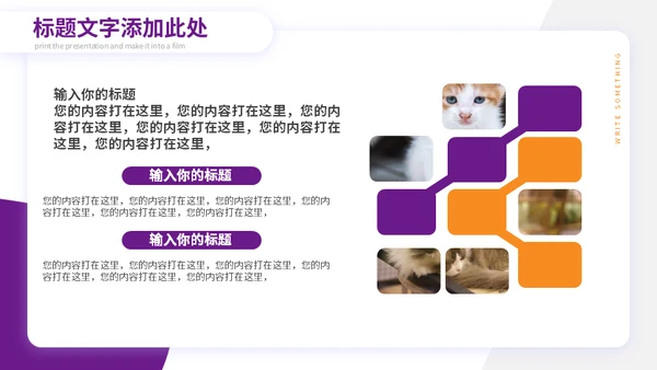 宠物小狗狗泰迪犬通用PPT模板