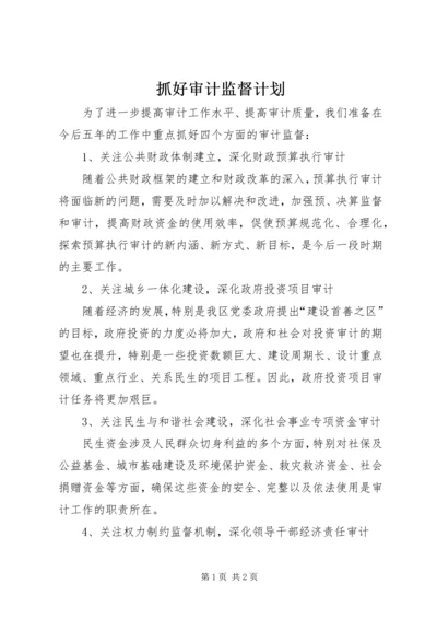 抓好审计监督计划.docx